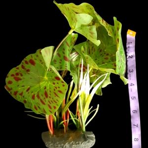 3/$10 Fish tank decor